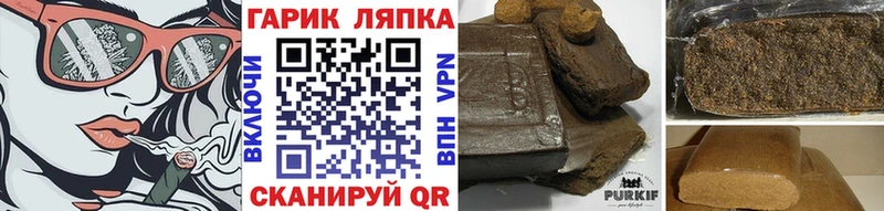 mega ссылки  где купить наркотик  Заозёрск  Гашиш Изолятор 
