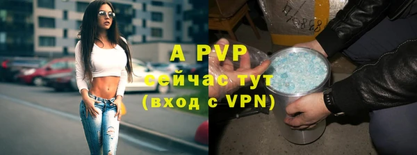 соль курить ск Белокуриха
