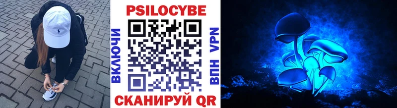 kraken зеркало Заозёрск Галлюциногенные грибы мицелий